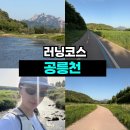 🏃‍♂️ 북한산 뷰와 메타세쿼이아 길이 반겨주는 공릉천 러닝코스 솔직 후기 (무료 주차, 차박 피크닉)