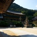 뱀사골공인중개사사무소 이미지