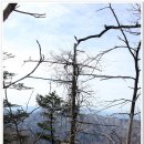 백덕산 (강원 영월) 산행 [2010-02-08/바로툴] 이미지