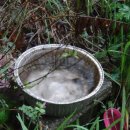 강서검도교실 이미지