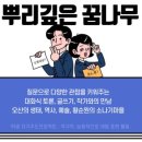 뿌리깊은꿈나무 이미지