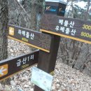 금산1리 네이버블로그