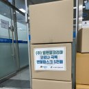 피앤피코리아