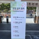 잉어 | 세종 가볼만한곳 베어트리파크🐻 잉어·곰 먹이주기 체험 후기