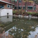 청소년수련원 유스호스텔 이미지