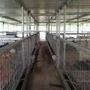 태봉농장 이미지