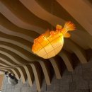 황제복어 이미지