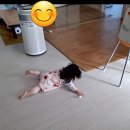 점보마트 이미지