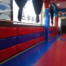 용인대 엘리트 태권도 이미지