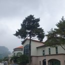 포레스트힐C.C 이미지