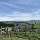 순진축산 이미지