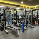 FIT U.S.A(피투사) | 신도림 피티 도전 피투사 운동일기 1주차