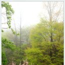 다강산방