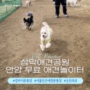 안산 하늬울공원 어린이놀이터 | 삼막애견공원 안양 무료애견놀이터 봄나들이로 추천! [이용시간/위치/주차 안내]