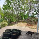 블루밍 그루밍 이미지