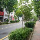 동편명품세탁소 | 열 하나 동네 기웃기웃_와룡동편
