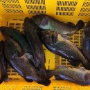 훼밀리호 이미지