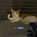 스댕