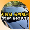 자동차 전면유리 세차 유막제거 발수코팅 방법 좀비카케어 제품후기