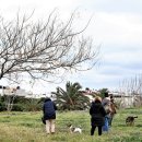 LOVING PET 이미지