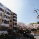 사파대동약국 네이버블로그