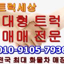 중고사료운반차 현대 메가트럭 2019년식 5톤사료운반차 매매 가격 시세 확인 이미지
