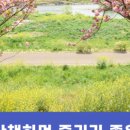 처용유통