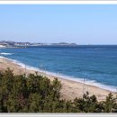 바다정원 이미지