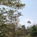 들꽃피는언덕 캠핑장 이미지