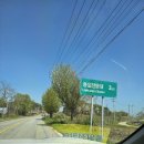 통일전망대 | 강원도 고성 통일전망대 후기