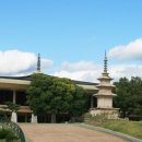 국립경주박물관 이미지