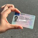 한국라이프 | [독일 라이프] 한국 운전면허증, 독일 운전면허증으로 교환 후기 in 프랑크푸르트