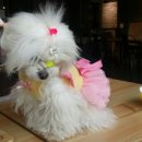 미스터토리 이미지