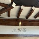 경주 체리 | 경주 황리단길 맛집 소향몽 | 체리막걸리 내돈내산 후기