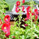 인흥마을 이미지