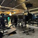 닥터피티 이미지