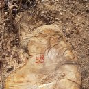 은평-058 이미지