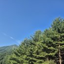 숯불타오른닭 이미지