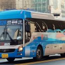 수정화물 이미지