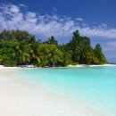 코코환경 이미지