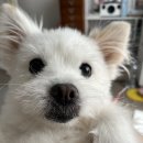 주댕이네