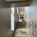 냥린이네 이미지