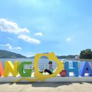 배둔시외버스터미널 이미지