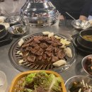 돼지꿈꾸다