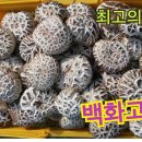 승지골농원
