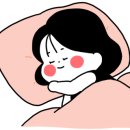 바리깡스타 이미지