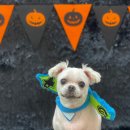 복탄산수 이미지