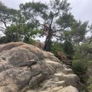 관악산 (과천정부청사역~케이블능선~연주암~정상~계곡~향교)5/20.화 이미지