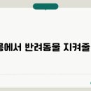 강릉동물병원 이미지