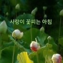 YH건강